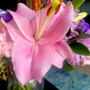 Meet your Posher, Janine